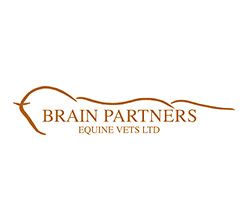 brain partners equine vets